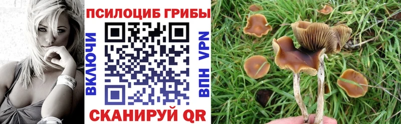 Галлюциногенные грибы Cubensis  Лянтор 